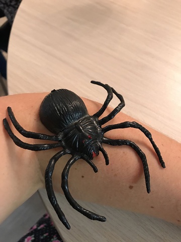 Photo 124@18-10-2020 17-37-51