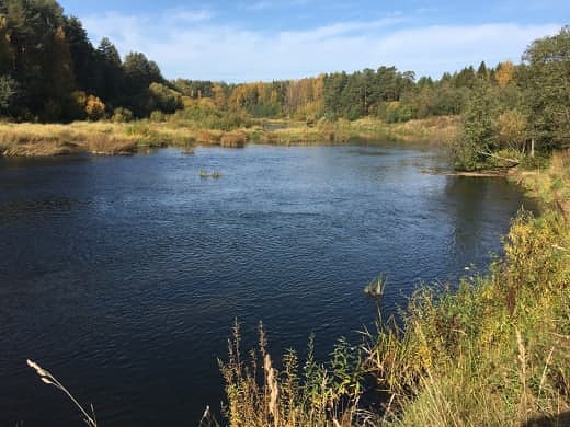 Photo 176@24-10-2020 11-22-04 Thumb