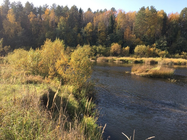 Photo 177@24-10-2020 11-22-04