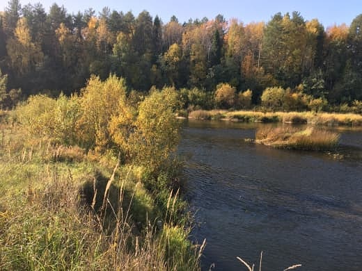 Photo 178@24-10-2020 11-22-04 Thumb