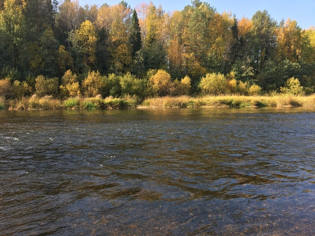 Photo 179@24-10-2020 11-22-04