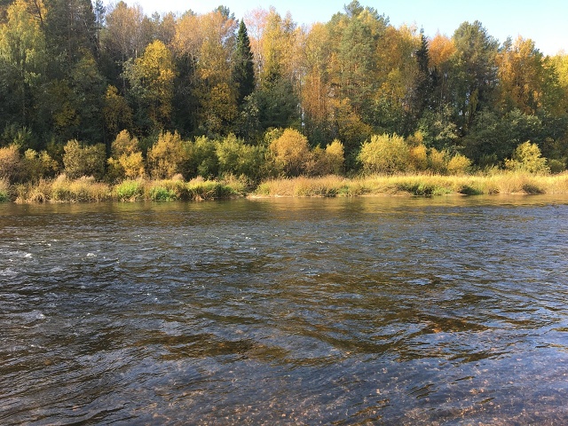 Photo 180@24-10-2020 11-22-04