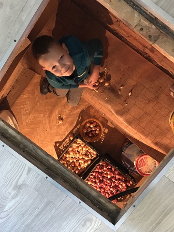 Photo 259@07-11-2020 13-07-15