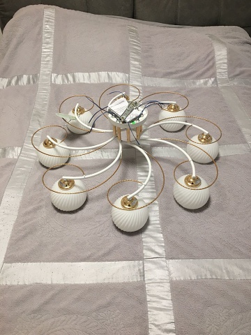 Photo 355@19-11-2020 11-44-33