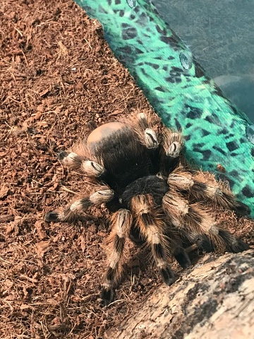 Photo 442@29-11-2020 13-01-22