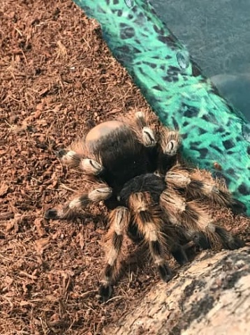 Photo 442@29-11-2020 13-01-22 Thumb