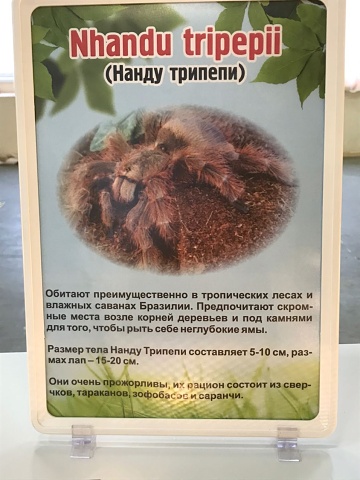 Photo 443@29-11-2020 13-01-22