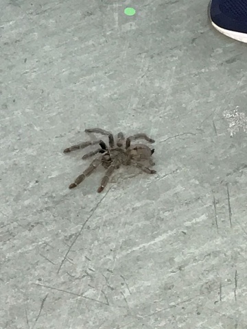 Photo 446@29-11-2020 13-21-07