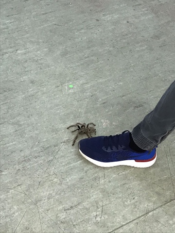 Photo 447@29-11-2020 13-21-07