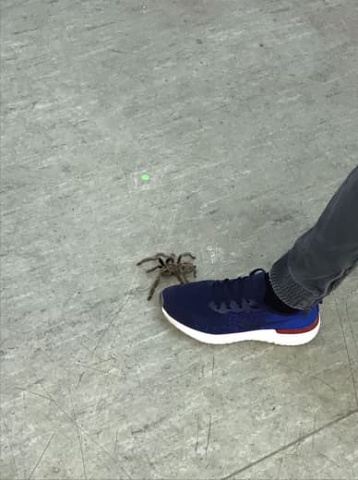 Photo 447@29-11-2020 13-21-07 Thumb