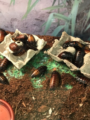 Photo 449@29-11-2020 13-23-24