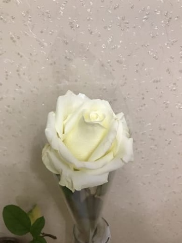 Photo 474@01-12-2020 21-10-41 Thumb