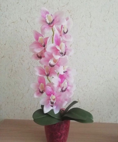 Photo 478@02-12-2020 13-11-32