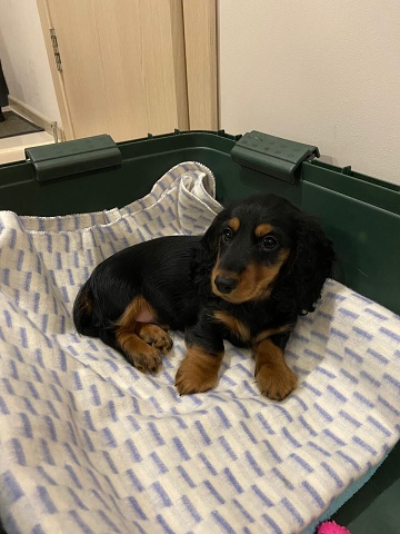 Photo 507@05-12-2020 20-34-54